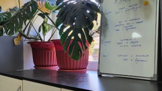 Пансионат «Янтарь» в Пензе фото 3